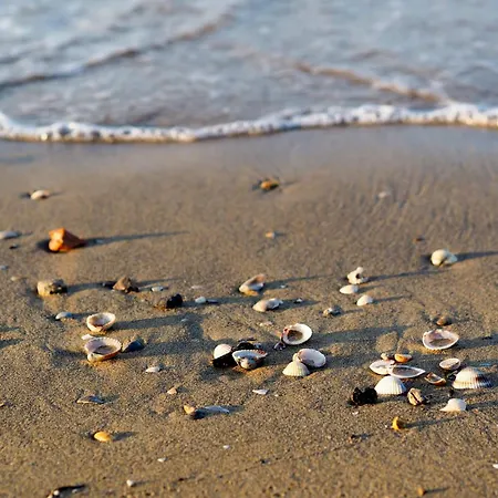 In 24410 * Bibione